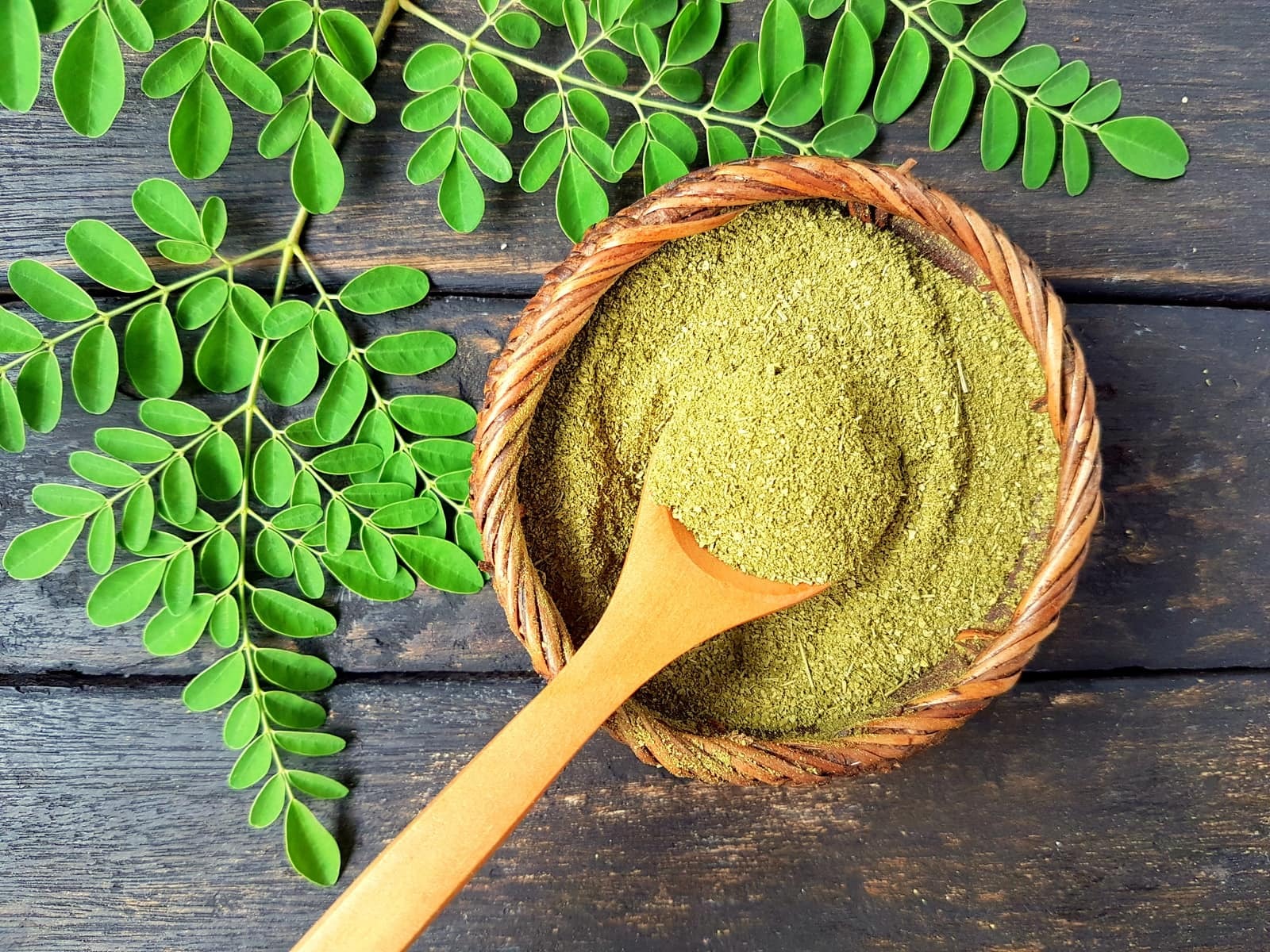 Moringa Stenopetala