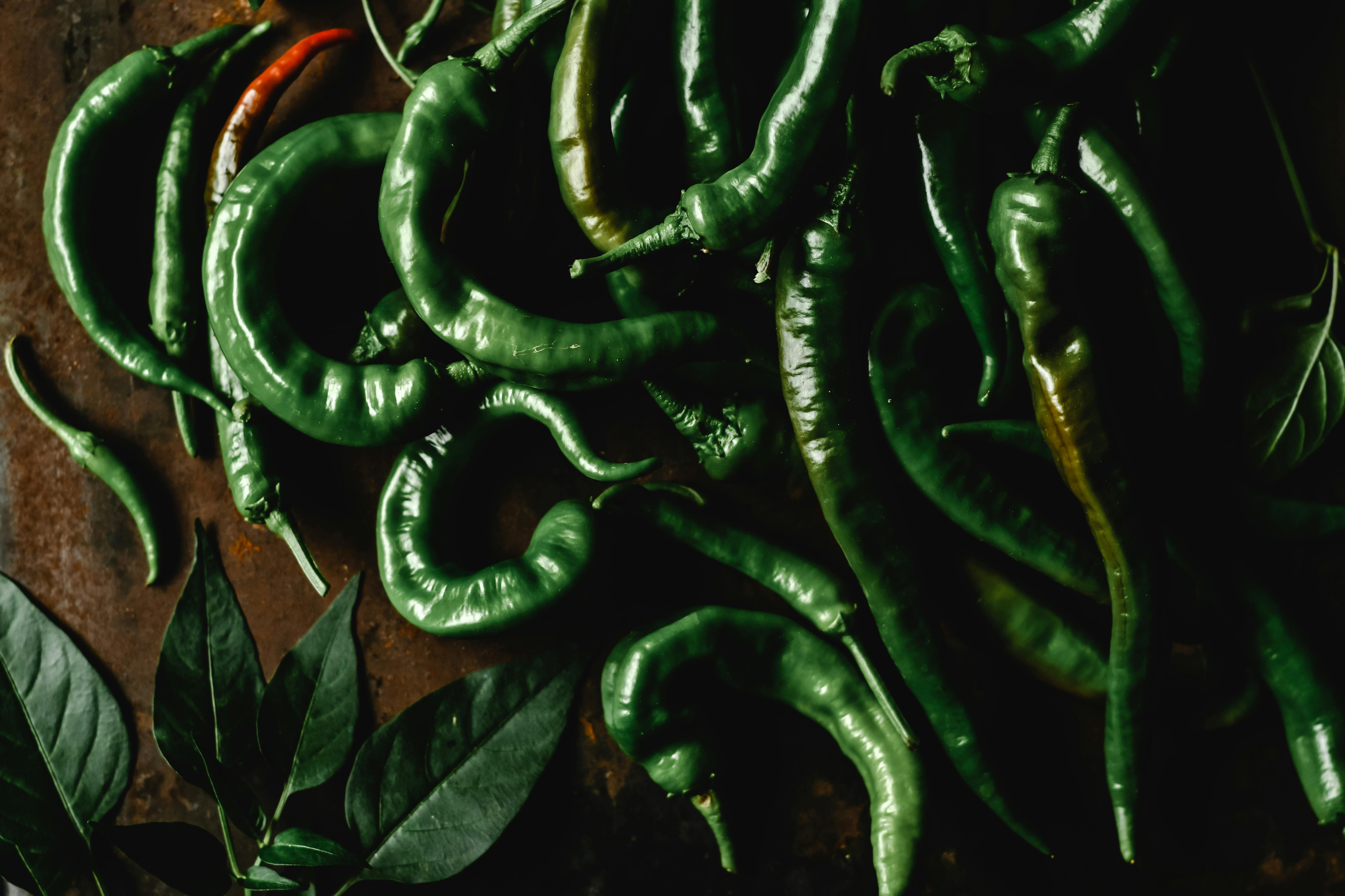 Bird’s Eye Chilli