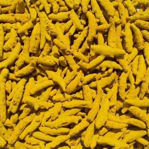 Erode Turmeric