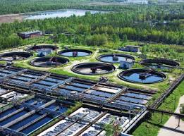 Arpinox Export Preparation