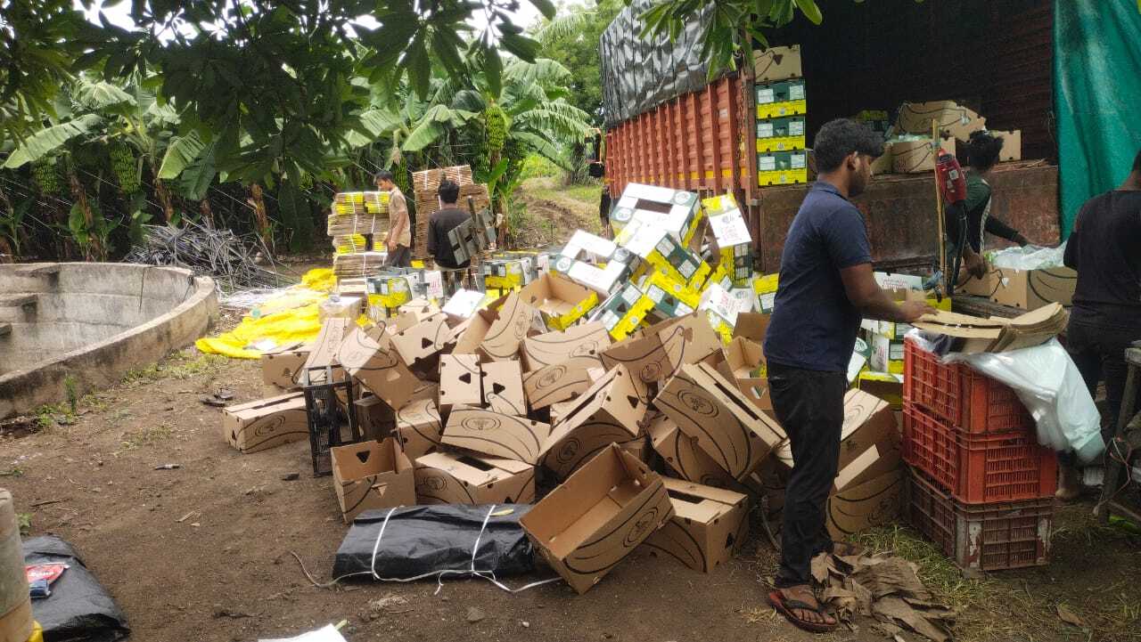 Export Packaging Standards