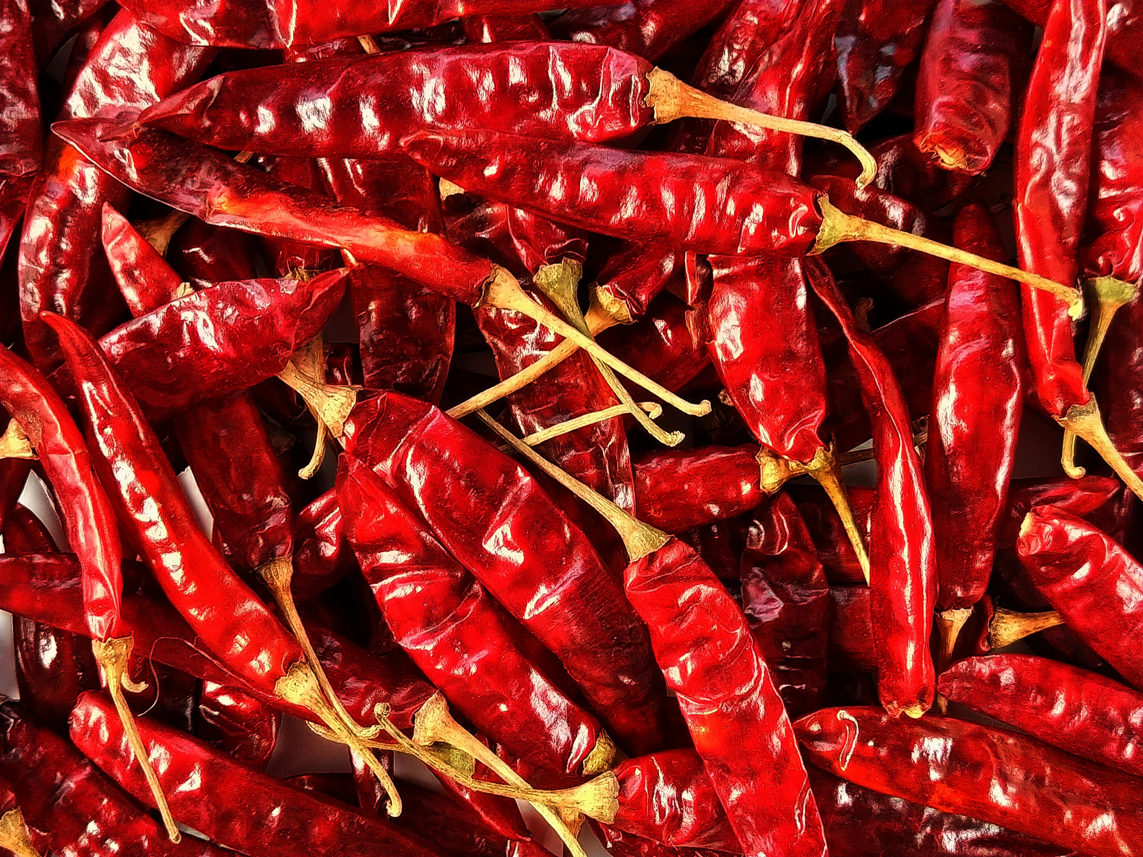 Red Chilli