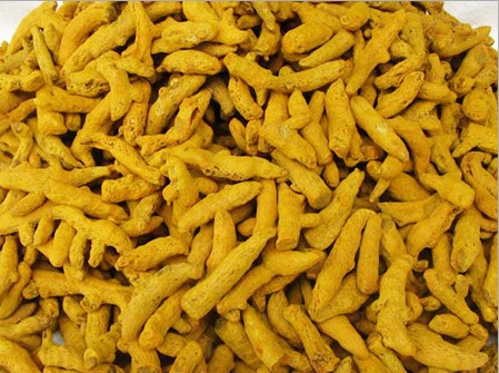 Salem Turmeric