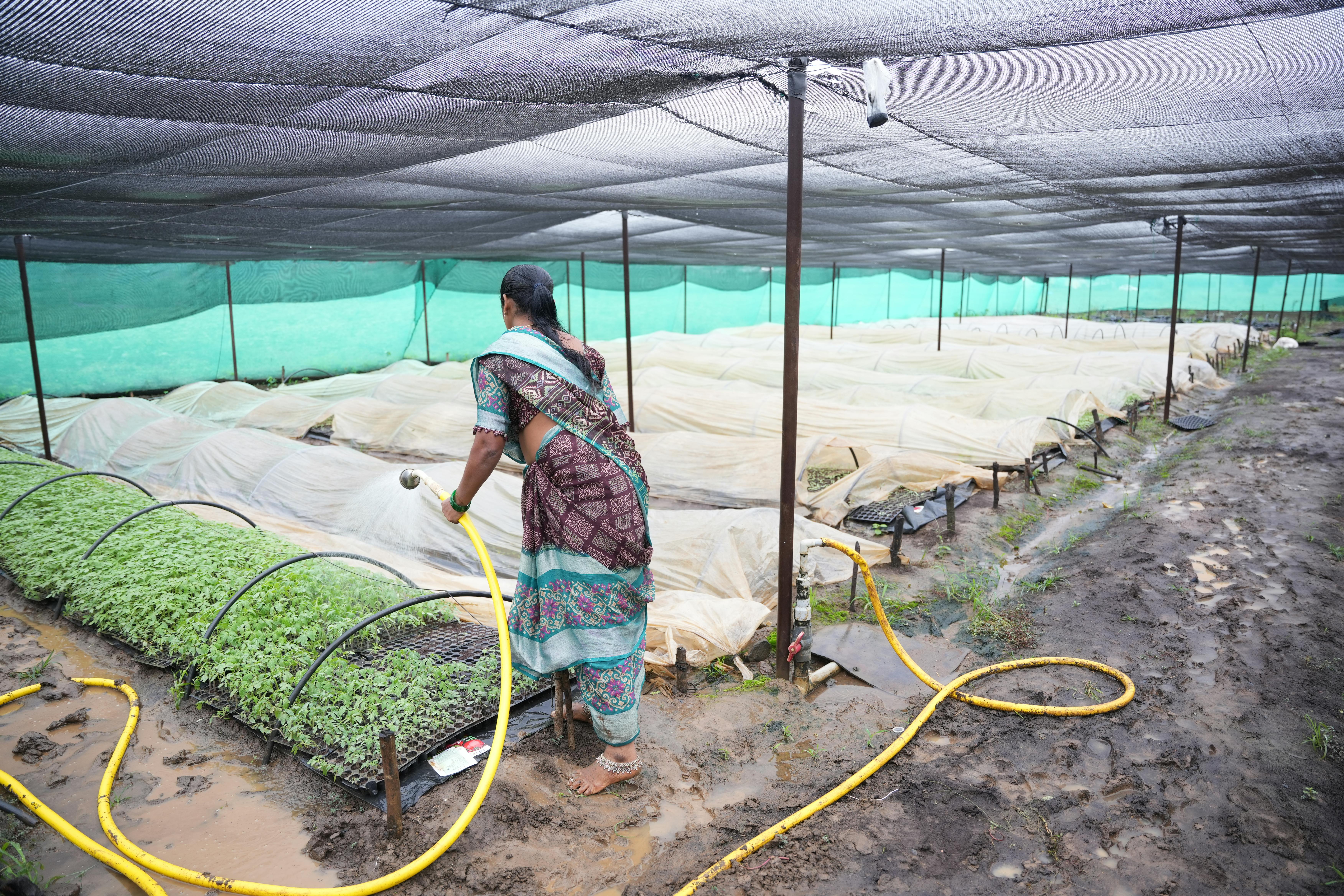 Arpinox Processing Facility