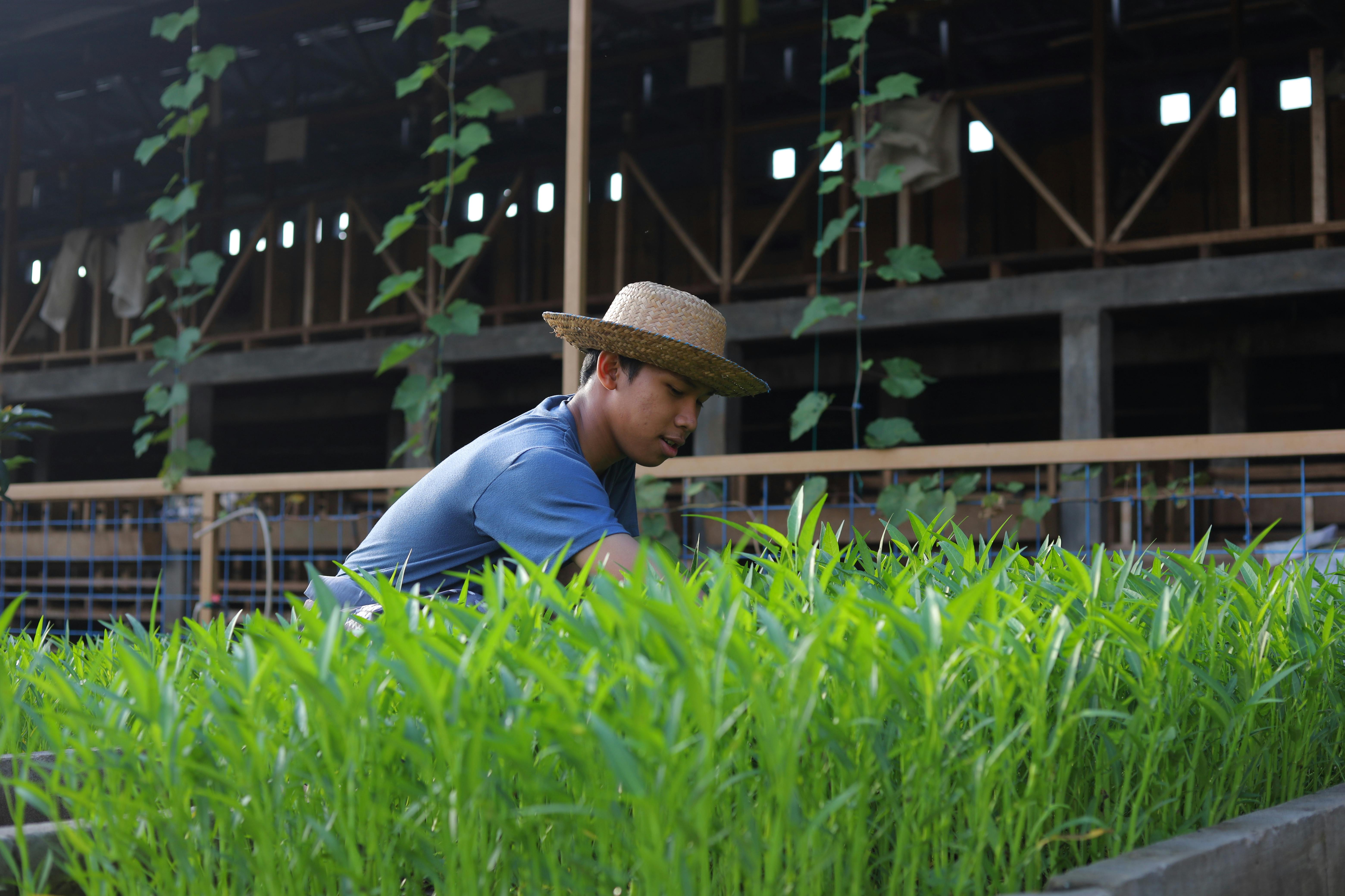 Arpinox Storage Facility
